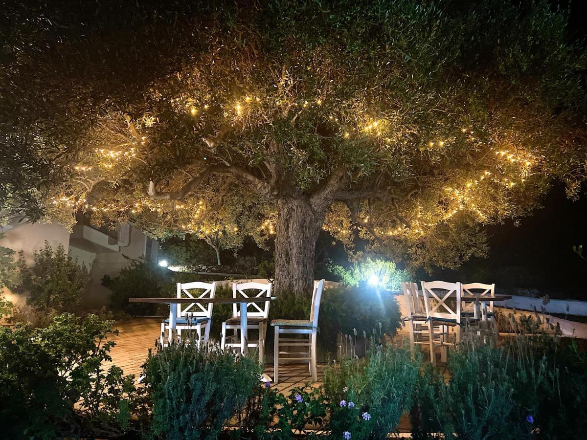 Katerina Charming Place Amoudara  Exterior foto